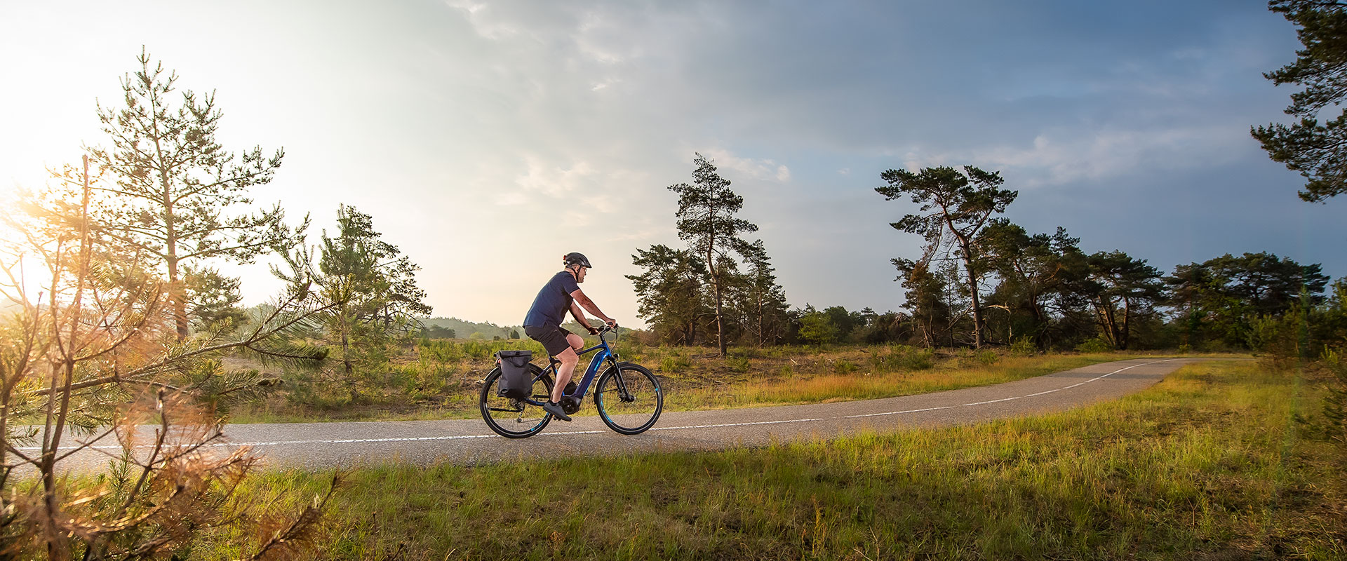 TECHNOLOGIE GIANT_E-BIKE_SyncDrive_Sport_banner